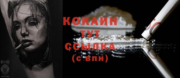 индика Баксан