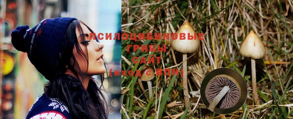 индика Баксан