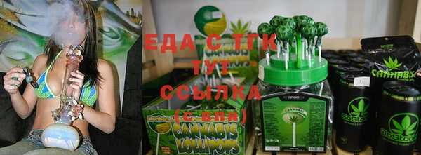 индика Баксан