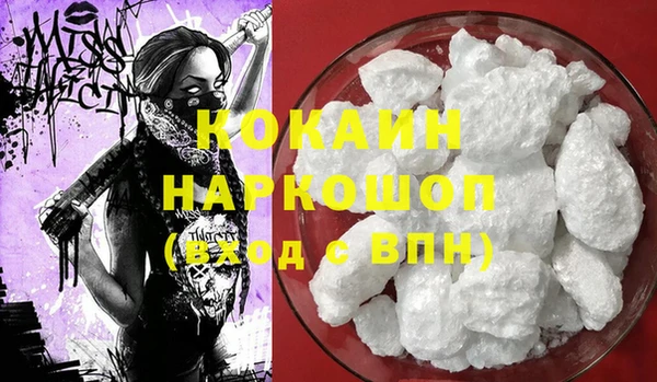 индика Баксан